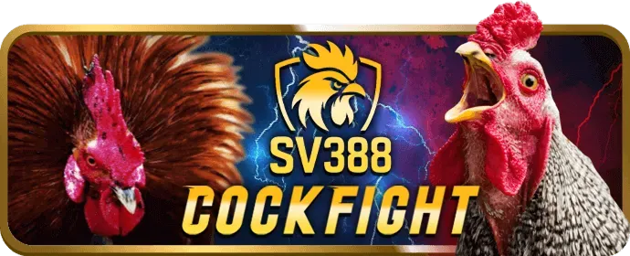 Hotline hỗ trợ khách hàng Five88 Login